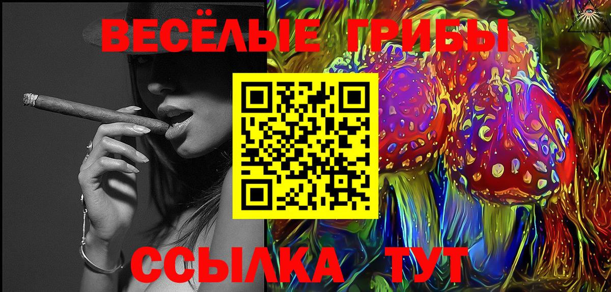 Псилоцибиновые грибы Magic Shrooms Кувандык